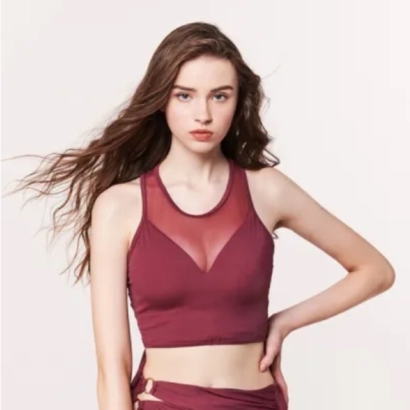 Wave Shine Skirt Set Maroon Waist Cinched Corset Swim Skirt/ Mesh Halter Bikini - Picture 5 of 16